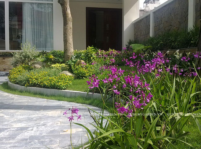Thiết kế vườn đẹp với hoa màu tím bắt mắt