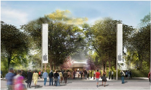 Cây tầng cao rợp lối vào