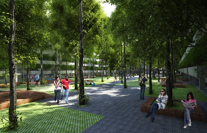 cay-xanh-phu-nhu-rung-fpt 8