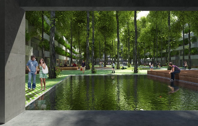 cay-xanh-phu-nhu-rung-fpt 9