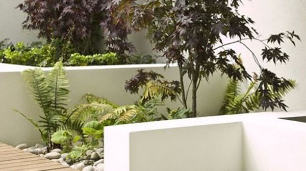Thiết kế vườn trên mái ngoài việc giúp ngôi nhà của bạn có những khoảng xanh gần gũi với thiên nhiên