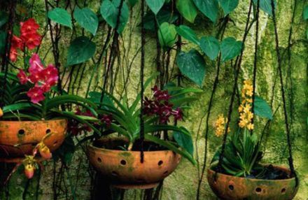 Phá vỡ không gian trống của tường hay rào bằng cách dùng giỏ hoa và tán lá trong