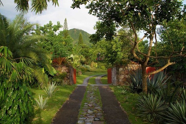 golden-rock-inn-garden-nevis-marsden-raymond-jungles-gardenista-1