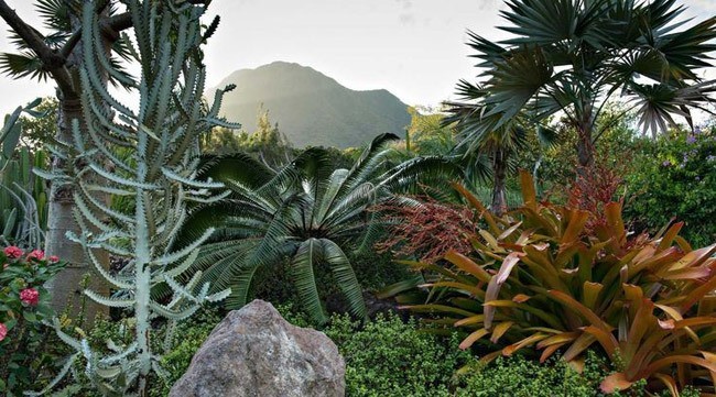 golden-rock-inn-garden-nevis-marsden-raymond-jungles-gardenista-4