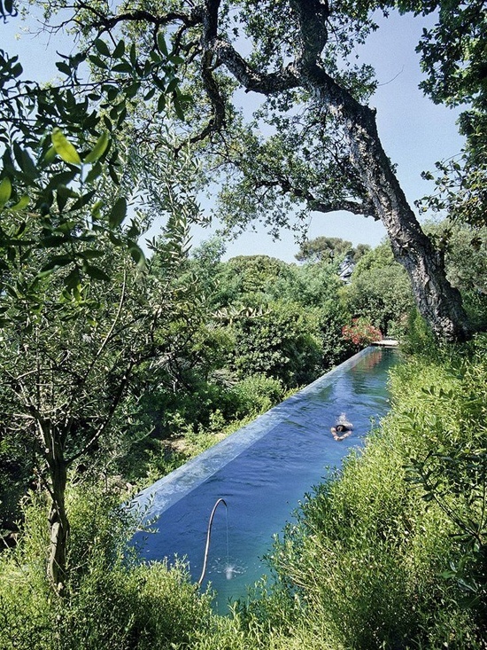 Bể bơi dài chìm trong bạt ngàn rừng