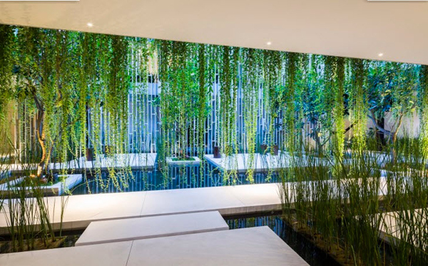 giàn dây leo bao phủ nhiều không gian tạo cảm giác lãng mạn