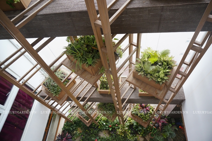 thang gỗ đặt trong nhà để trồng cây và lối các tầng