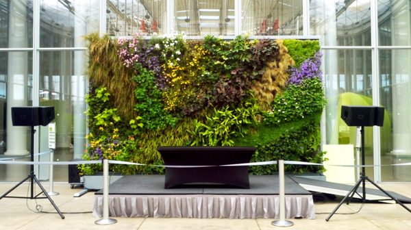 Tường đứng mang lại cảnh quan mềm mại