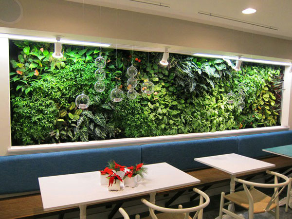 vườn đứng hay được dặt trong quán cafe- luxurygarden.vn