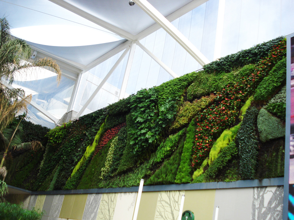 Có thể biển thành một khong gian hùng vĩ