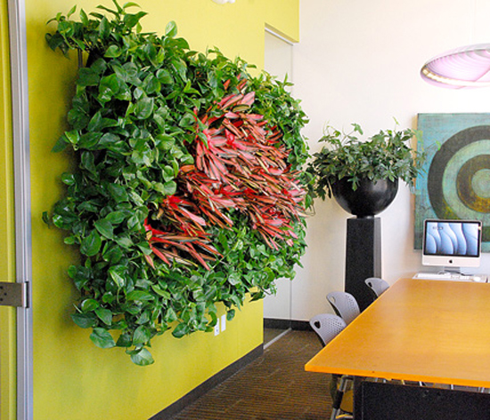 hay đơn thuần là một sự sinh động nho nhỏ với cỏ cây